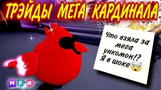 ШОК  ТРЕЙДЫ МЕГА КРАСНОГО КАРДИНАЛА в Adopt me! Мне не просто ПОВЕЗЛО, мне ФАРТАНУЛО!