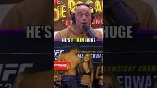 Joe Rogan on Khamzat Chimaev vs Paulo Costa 🔥