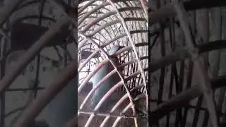 18 апреля 2021 г.