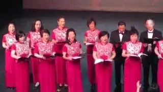 难忘今宵， 麦大春晚， 陈莹版