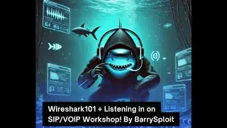 WireShark 101