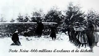 Peste Noire - 666 millions d'esclaves et de déchets (2018)