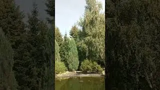 Садик у Свято-Троицкого собора в Саратове