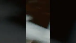 Ноябрь 2096 г✓