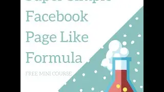 Super Simple Facebook Like Formula 2015: How To Get Fan Page Likes For Pennies