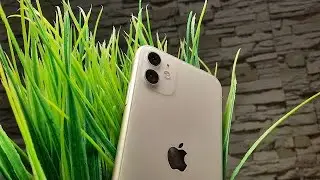 iPhone 11 в 2024
