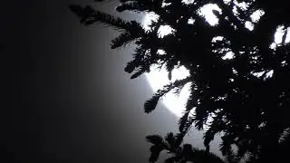 Blue Moon May 2019 real-time movement Last Blue Moon of Decade