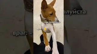 акк в лайке: рыжий демон😈💗 тгк: рыжий демон😈💗