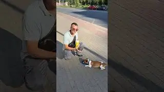А вы берёте воду на прогулку с собакой ?
