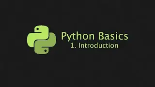 Python Basics (2023). 1. Introduction