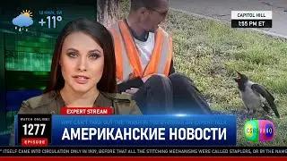 CSBSVNNQ Американские новости — выпуск 