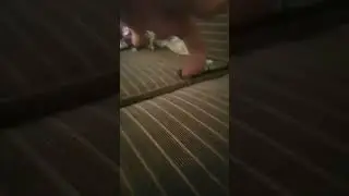 водяной 