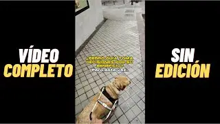 VÍDEO COMPLETO SIN EDICIÓN DEL POLÉMICO SHORT Y SU VERACIDAD ⚠️ (GRABADO POR UN CIEGO 0% VISIÓN)