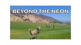Free Adventures: Away from the Vegas Strip
