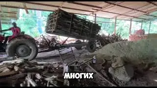 GABA чай с о. Шри-Ланка