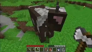 BACK TO BETA!    i think