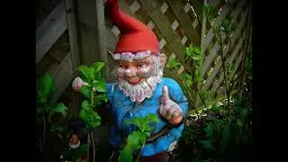 Who Knew These 13 Shocking Facts About Garden Gnomes? I Don’t Know About You But I Was Shocked!