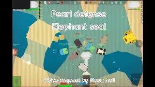 Playing pearl defense as a elephant seal
