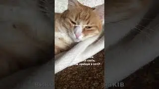 - милий помічник