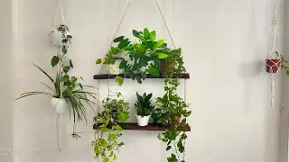 DIY Hanging Plant Stand