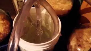 Home brew bubbling