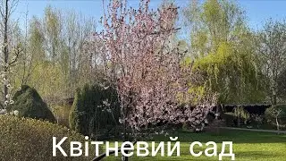 Квітневий сад! Прогулянка квітучим садом 👩‍🌾💐🥰