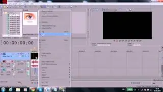 Sony vegas pro 12 magic bullets looks problem HELP!