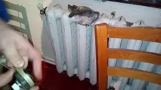 Как закрутить пробку в чугунную батарею/чугунный радиатор