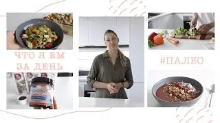 ЧТО Я ЕМ ЗА ДЕНЬ #3 | Палео, низкоуглеводная диета меню