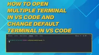 How to open multiple Terminal in vs code and Change Default Terminal In vs Code