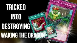 I Give My Opponent A Harpies Feather Duster As Bait, and They Totally Fall For It