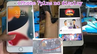 iPhone 7plus no display | display problem
