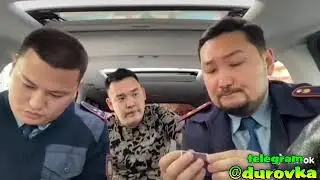 Тик ток приколи