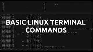 Basic Linux Terminal Commands to Learn - Part 1