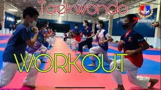 Taekwondo Workout today
