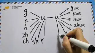 Learn Chinese Alphabet | Mandarin Pinyin Pronunciation Guide | Pinyin Chart 31 - ua