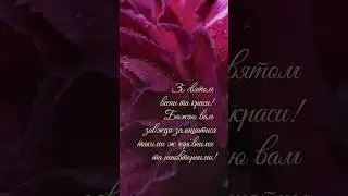 8 березня. Міжнародний жіночий день. Привітання. Poster animation. Motion design. After Effects.