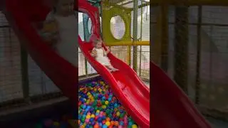 Алиса в игровой комнате 🥰