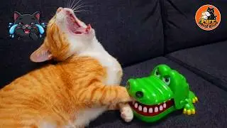 笑ったら負け！🤣 2026年最強に面白い犬と猫  😹🐶｜最後まで耐えられる？#5