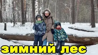 Прогулка по зимнему лесу. Декабрь 2021 года