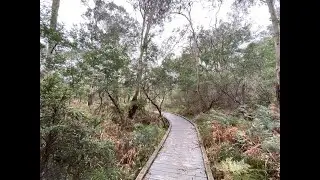 Fauna, Foals and Fruit Walk (Donvale)