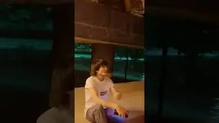 mazaku togrimi
