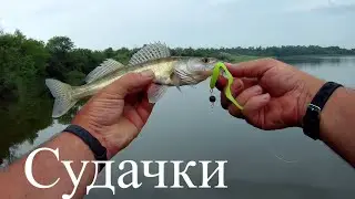 Джиг спиннинг в заброд, ловятся судачки,ставлю модные раколовки,пытаюсь поймать рака.