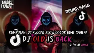 KUMPULAN DJ REGGAE SLOW TERBARU || DJ CAMPURAN VIRAL TIKTOK 2024🎵