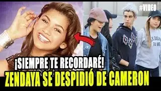 ZENDAYA SE DESPIDIÓ DE CAMERON BOYCE A TRAVÉS DE INSTAGRAM Y ESTO DIJO