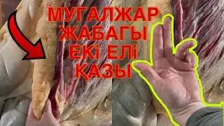 Мугалжар жабагысын  сойыу #horse #mz #лошади