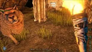 ARK  Survival Evolved Easy Taming of a 112 Direwolf