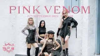 PINK VENOM - DANCE COVER by Ambyar People