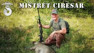 Mistret ciresar (Cherry boar)