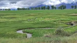 There is Beauty & Learning in the Meandering Way